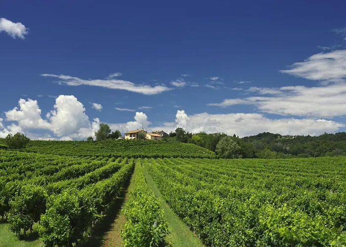 Agriturismo Moro Barel